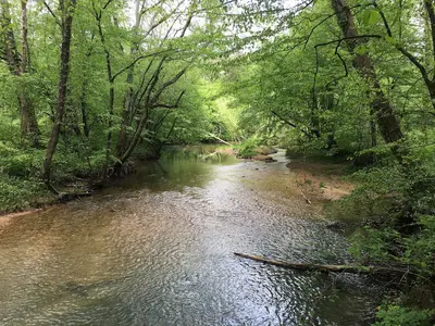 Hurricane Mill Creek