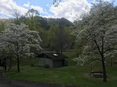 Spring