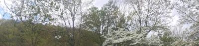 Rocky Bluff Campground