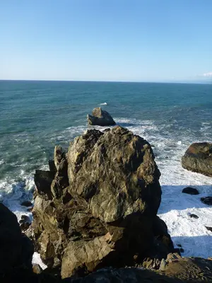 Patrick's Point (17037065345)