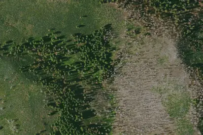 Camp site