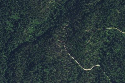 Camp site