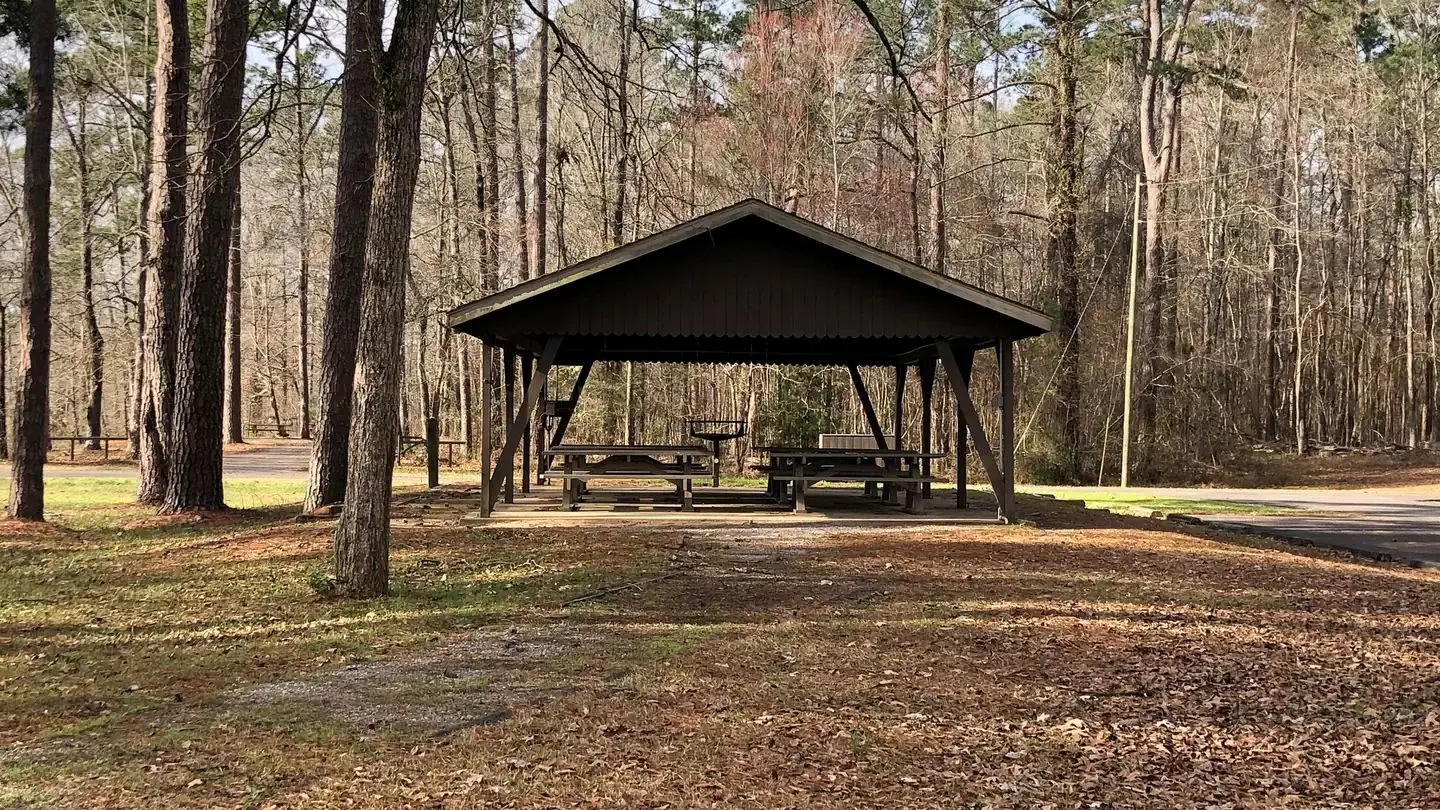 Belmont Shelter