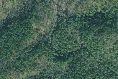 Camp site