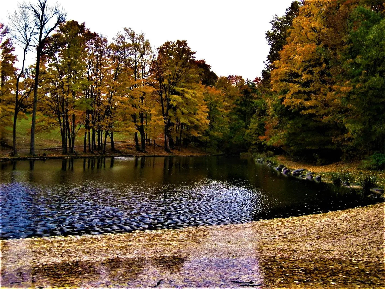 Photo of Glen Haffy Conservation Area