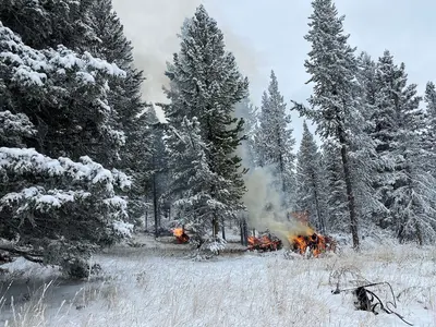 Custer Gallatin National Forest 12-13-22 (52748098275)