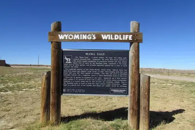 Wyoming's Wildlife 2016-09-26 191