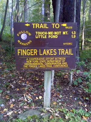 FLT M31 3.92 mi - Sign on Big Pond Rd - panoramio