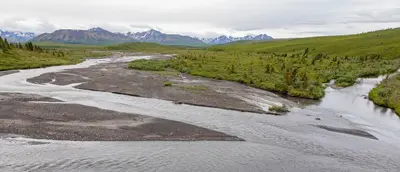 Savage River