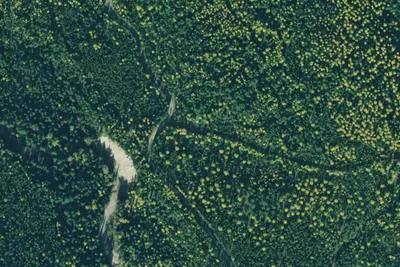 Rd 231 Site 3