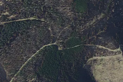 Blacktail Rd 4171 007