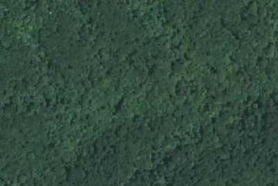 Camp site