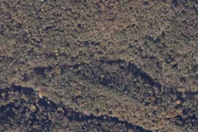 Camp site (United States Forest Service)