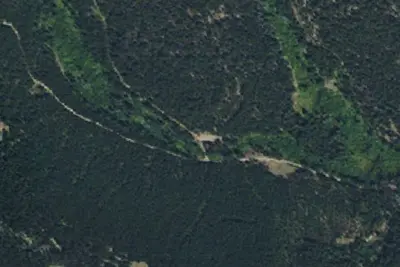 Fork
