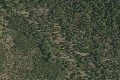 Indian Valley Dispersed Camping Area