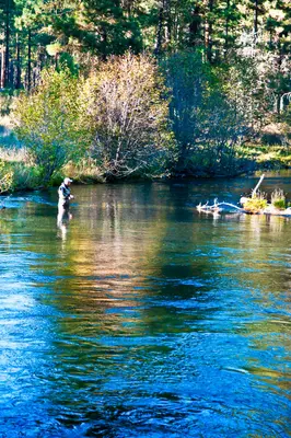 Fisherman at metolius river deschutes (25130408165)