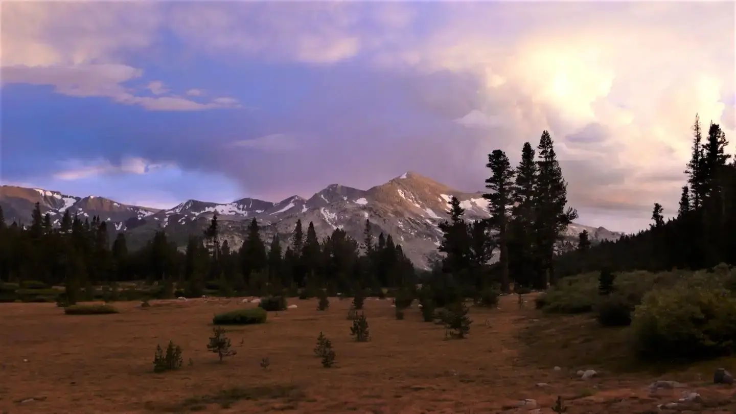 Meadow and mountain view in Tuolumne area