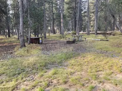 Campsite 3 at Porcupine Flat