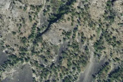 Lost Horse 005a