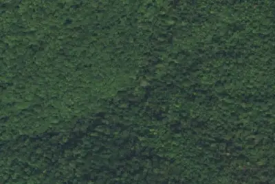 Camp site