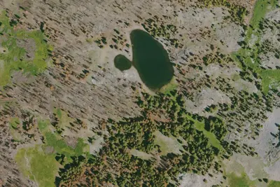Camp site