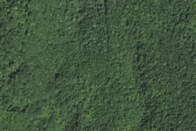 Site 1