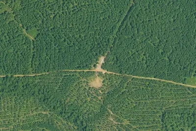 Camp site