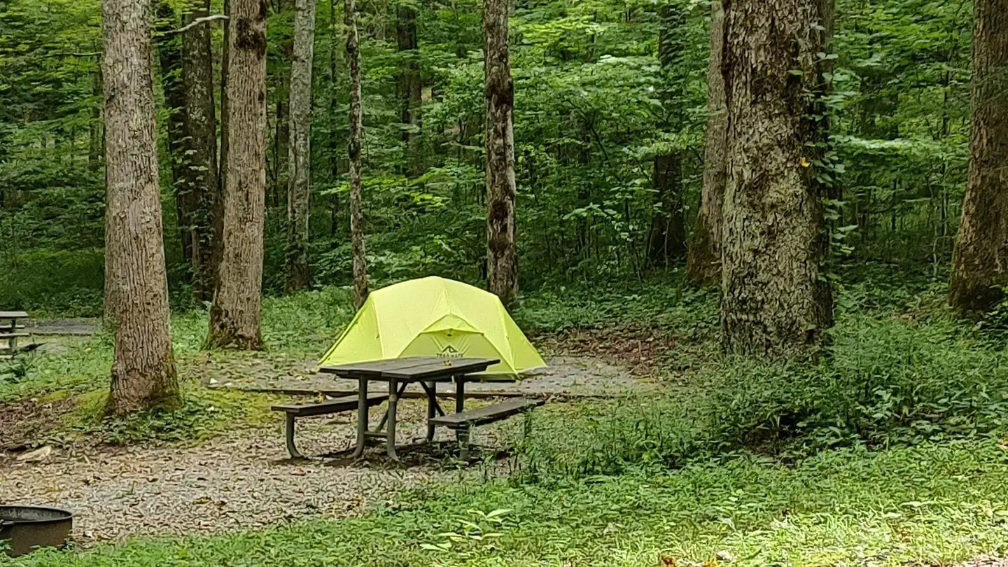 Peaceful camping in Cosby