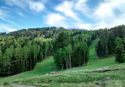 Los Alamos, NM 87544, USA - panoramio