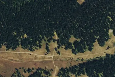Camp site