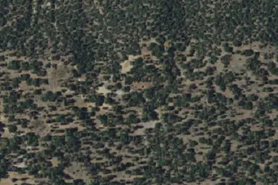 Oso Group Campground