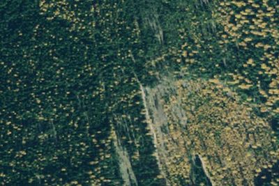 Pnt04 Rd5857 Site B