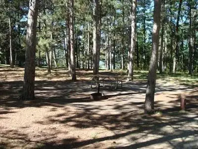 Wanaki Loop