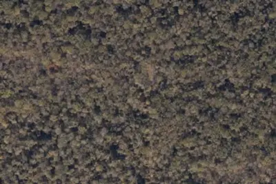 Hunt Camp 6
