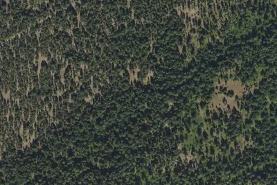 Camp site