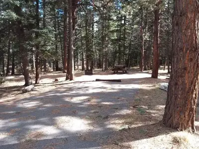 Site 6