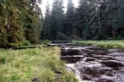 Sweet water lake cabin1