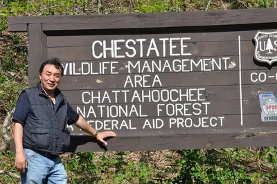 Chestatee WIldlife Management Area - panoramio