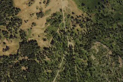 Camp site