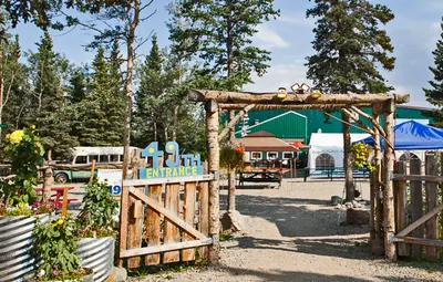 Entrance to the 49th State - Denali