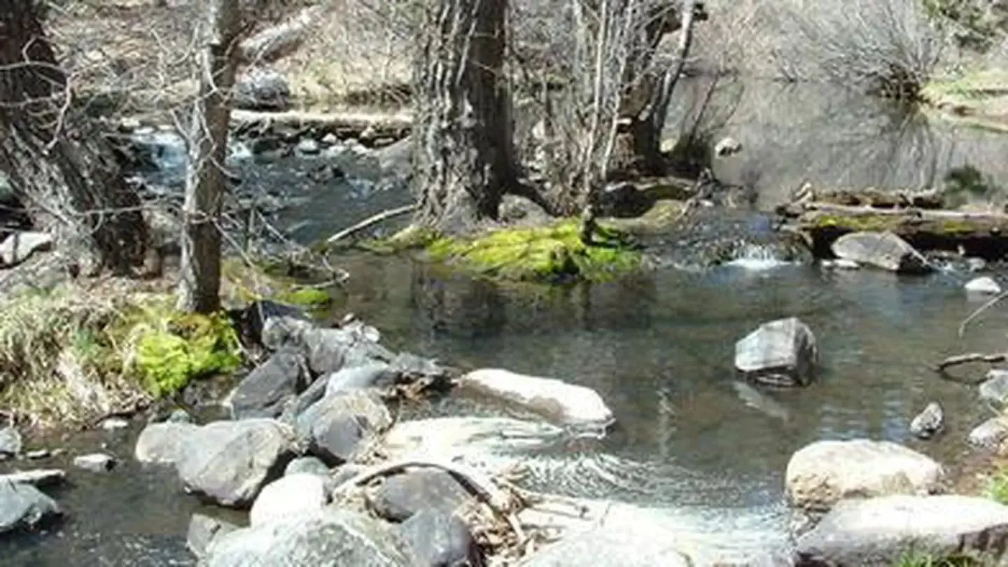 Chilcoot Creek