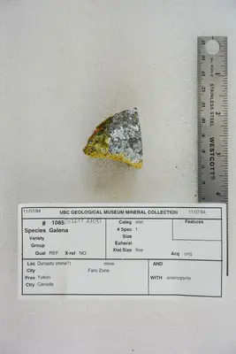 Galena with Arsenopyrite (40848403793)
