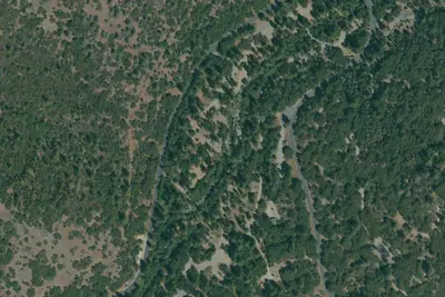 Camp site