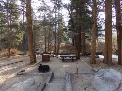 Campsite by the creek at Bishop Park