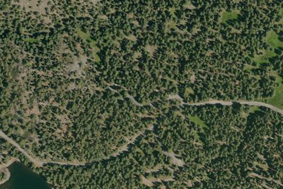 Aspen Group Campground