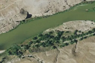 Cottonwood 5