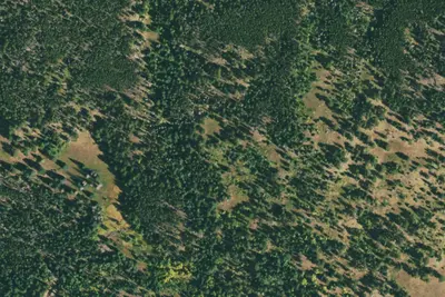 U.S. Forest Service Site 7