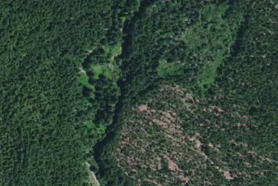 Pioneer Camp
