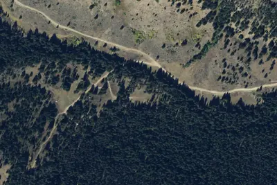 Bell Lake Junction Dispersed Site