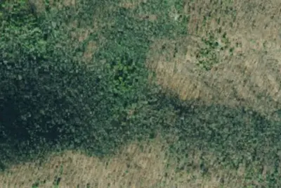 Camp site